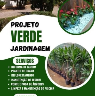 Imagem Detetização , controle de pragas urbanas 